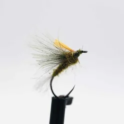 Sèche CDC Olive H18 (x3)