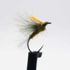 Sèche CDC Olive H16 (x3)