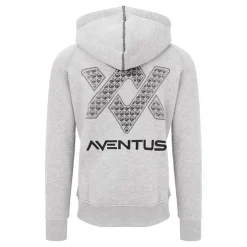 Sweat à capuche GURU AVENTUS HOODIE GREY