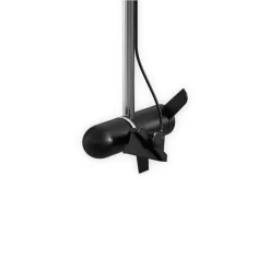 Système Panoptix LiveScope Plus avec Sonde GLS 10 et LVS34