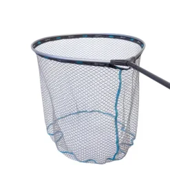 Tête d'Epuisette Rive Specimen 60x51cm