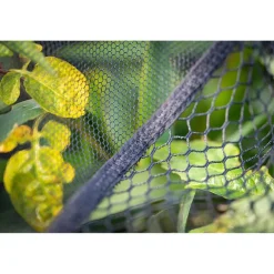 Tête d'épuisette guru duel 600 specimen net