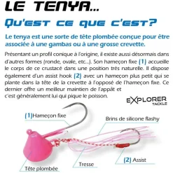 Tête plombée explorer tackle magic tenya deep moule