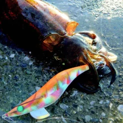 Turlutte mer yamashita egi sutte r 2.2 6.6cm 6.5g